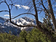 23 Dal roccolo del Veroppio bella inquadratura -cornice  per il Pizzo di Roncobello in Menna